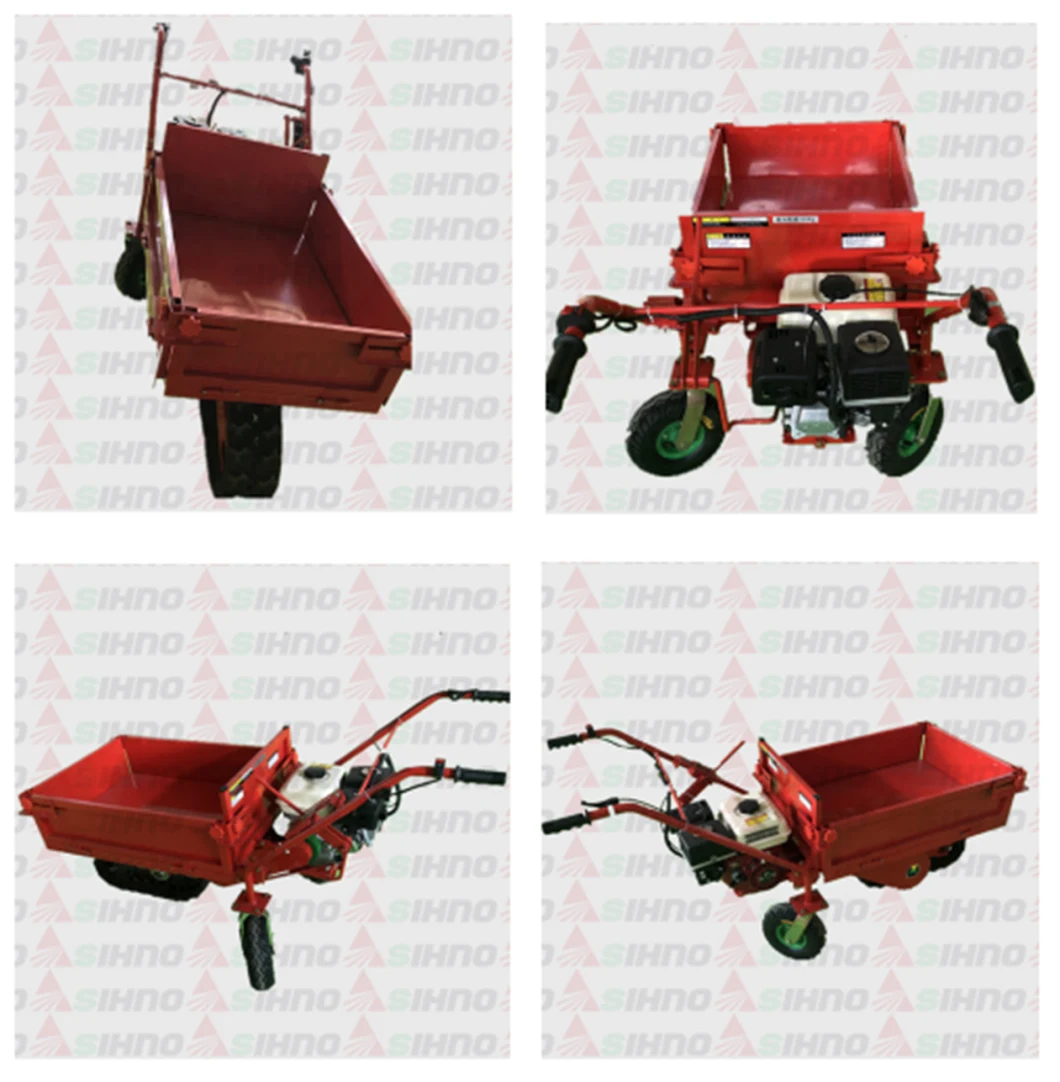 Multifunctional Transport Vehicle - Single Track of Gasoline Engine