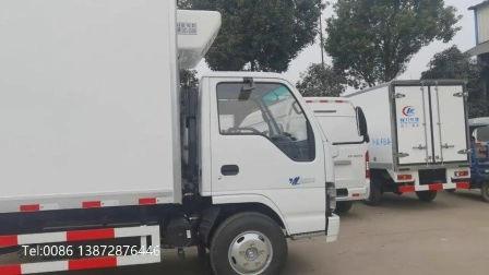 日本いすゞ 600p 4X2 タイプ 5 トン 6 トン冷蔵アイス クリーム トラック